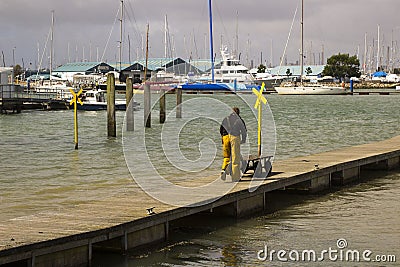 A crew member pushes a buggy along a floating pontoon at the harbour at Warsash in Hampshire as he helps unload a trawler Editorial Stock Photo
