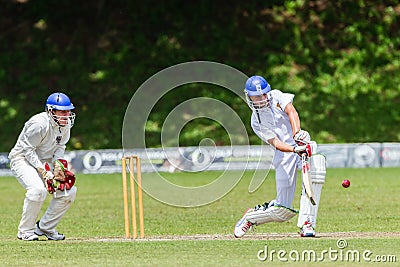 Cricket Action Sport Editorial Stock Photo