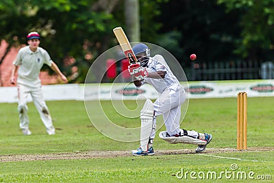 Cricket Action Sport Editorial Stock Photo