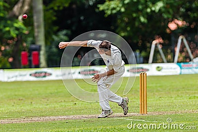 Cricket Action Sport Editorial Stock Photo