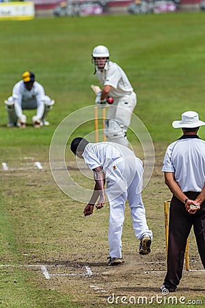 Cricket Action Sport Editorial Stock Photo