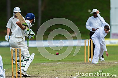Cricket Action Sport Editorial Stock Photo