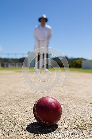 Cricket ball on pitch with umpire standing in background Stock Photo