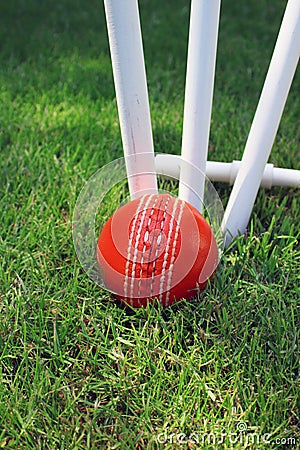 Cricket Ball and Stumps Stock Photo