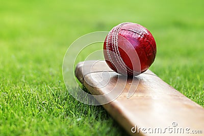 Cricket bat and ball Stock Photo