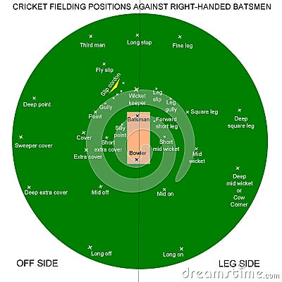 Cricket fielding positions Vector Illustration