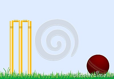 Cricket Stumps Stock Photo