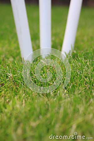 Cricket Stumps Stock Photo