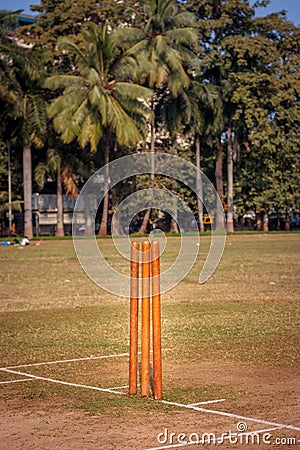 Cricket Stumps Stock Photo