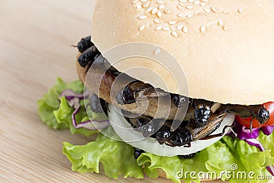 Crickets insect for eating as food items in bread burger made of fried insect meat with vegetable on wooden table it is good Stock Photo