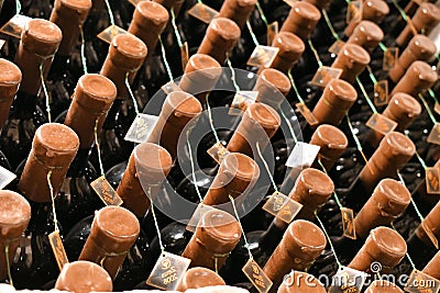 Cricova old Moldavian underground wine town big wine collection museum background Editorial Stock Photo