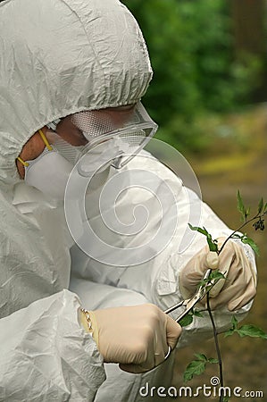 Criminologist investigates flower Stock Photo