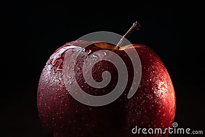 Crimson Brilliance: Apple's Dance in the Rain Stock Photo