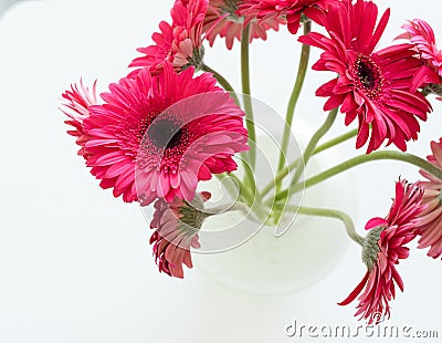 Crimson gerberas in glass vase from above Stock Photo
