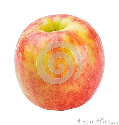 Cripps pink apple Stock Photo