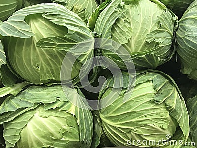 Closeup of healthy green cabbages in a pile Stock Photo