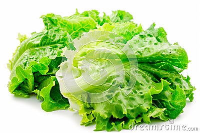 Crisphead, or iceberg lettuce isolated on white background. Fresh green salad leaves from garden Stock Photo