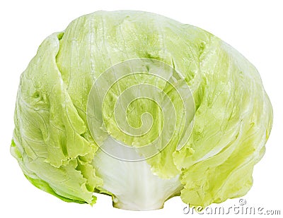 Crisphead lettuce vegetable isolated on white background with clipping path Stock Photo