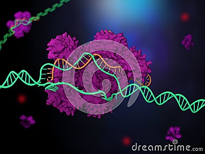 CRISPR-Cas9 Cartoon Illustration