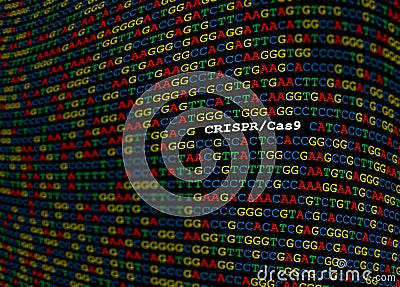 CRISPR-Cas9 locus on DNA sequence Stock Photo