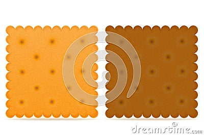 Crispy biscuit cookie vector illustration Vector Illustration