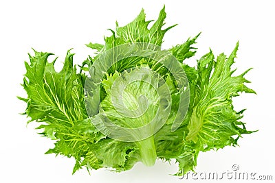 Crispy salad Stock Photo