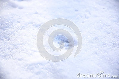 Snow with animal`s pawprint as background Stock Photo