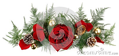 Cristmas Decoration Banner with Rose Flower and Rose Petals Panorama isolated on white Background Stock Photo