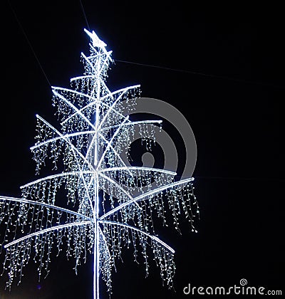 Christmas tree at night Stock Photo