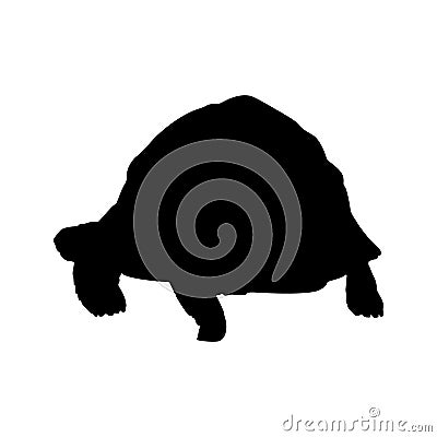 Walking Radiated Tortoise Silhouette. Good To Use For Element Print Book, Animal Book and Animal Content Vector Illustration