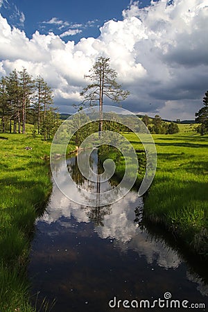 Crni Rzav river in Zatibor mountain Stock Photo