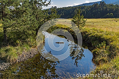 Crni Rzav river on Zlatibor mountain in Serbia Stock Photo