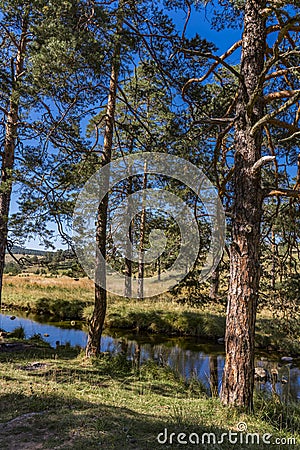 Crni Rzav river on Zlatibor mountain in Serbia Stock Photo