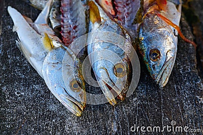 Croaker Corvina fillet fish in Mexico Stock Photo