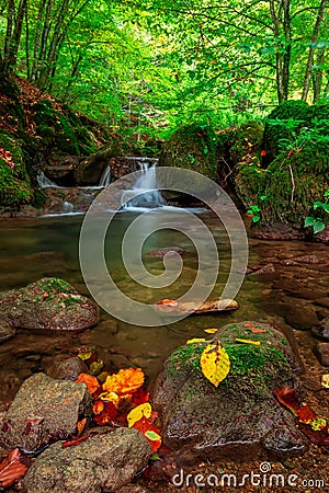 Croatia - Nature park Papuk - Forest creek Stock Photo