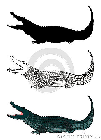 Crocodile Cartoon Illustration