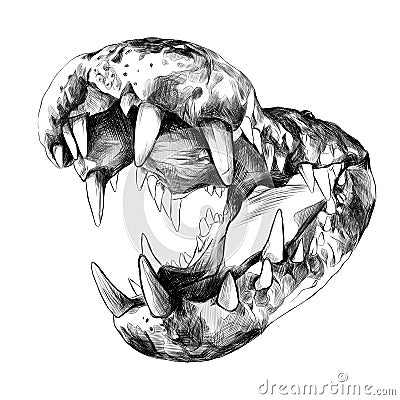 Crocodile with big teeth Stock Photo