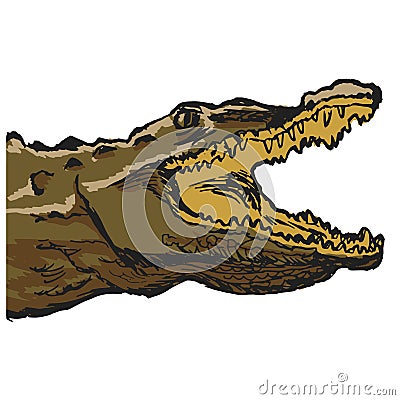 Crocodile Vector Illustration