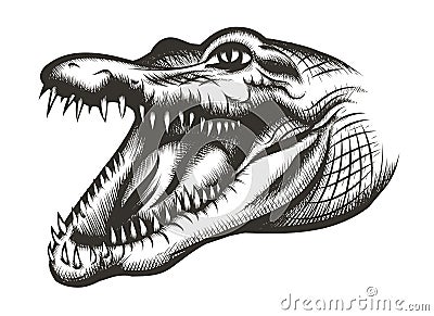 Crocodile head black Vector Illustration