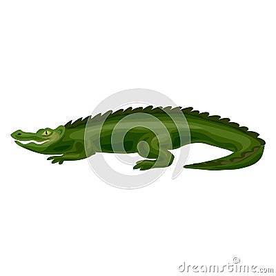 Crocodile icon, cartoon style Vector Illustration