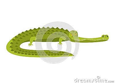 Crocodile isolated. Alligator on white background. Water reptile Vector Illustration