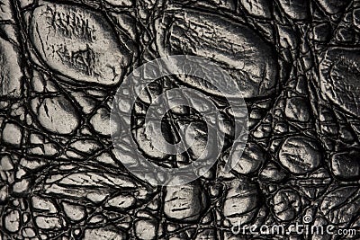 Crocodile leather texture Stock Photo