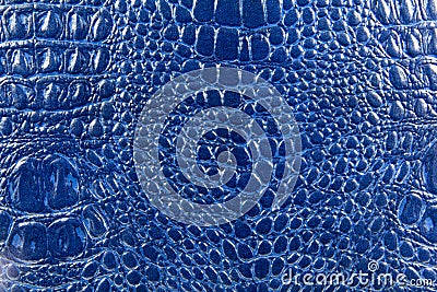 Crocodile leather texture Stock Photo