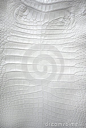 Crocodile leather Stock Photo