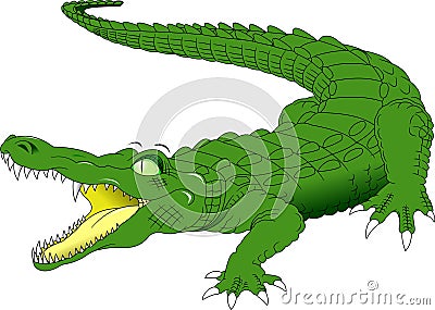 Big Green Crocodile Vector Illustration