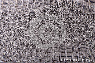 Crocodile skin leather, gray, silver background Stock Photo