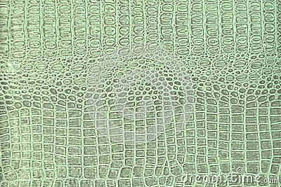 Crocodile skin pattern Stock Photo