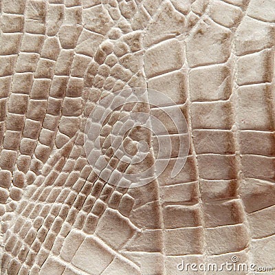 Crocodile skin texture Stock Photo