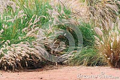 Crocodiles in crocopark Stock Photo