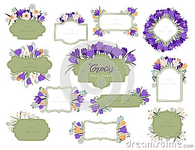 Crocus flower frames flat icons set. Special bright yellow, purple, or white flowers spring-flowering plant Vector Illustration